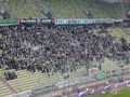 Tak kibice zareagowali na okrzyk: "Karol Nawrocki". Było słychać na całym stadionie