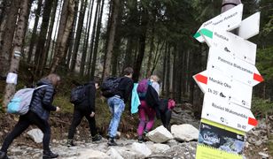 Morskie Oko jak centrum handlowe: są limity dla wchodzących. A dla kierowców niepokornych srogie kary