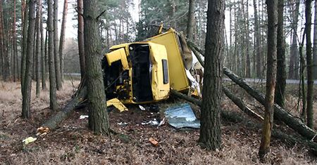 Zasnął za kierownicą i zatrzymał się na drzewie