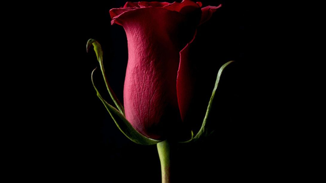 Autor zdjęcia sprzedanego za milion euro powraca w akcji charytatywnej 1