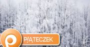 Piąteczek #41 - zimy ciągle brak