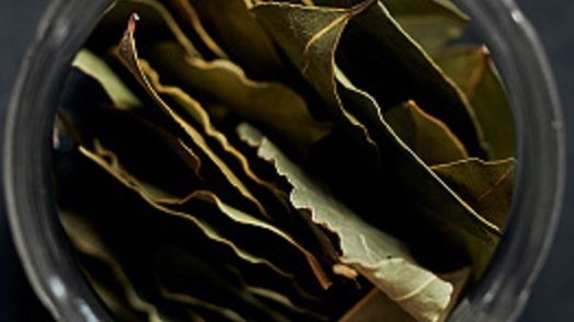 Liście laurowe doskonale działają na stawy