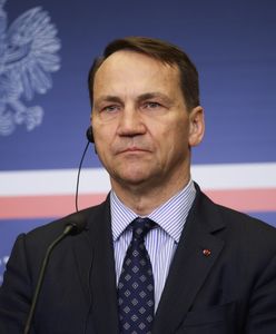 Sikorski prezydentem? Padła wymowna odpowiedź