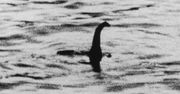 Zdjęcie chirurga, czyli prawdziwa historia potwora z Loch Ness