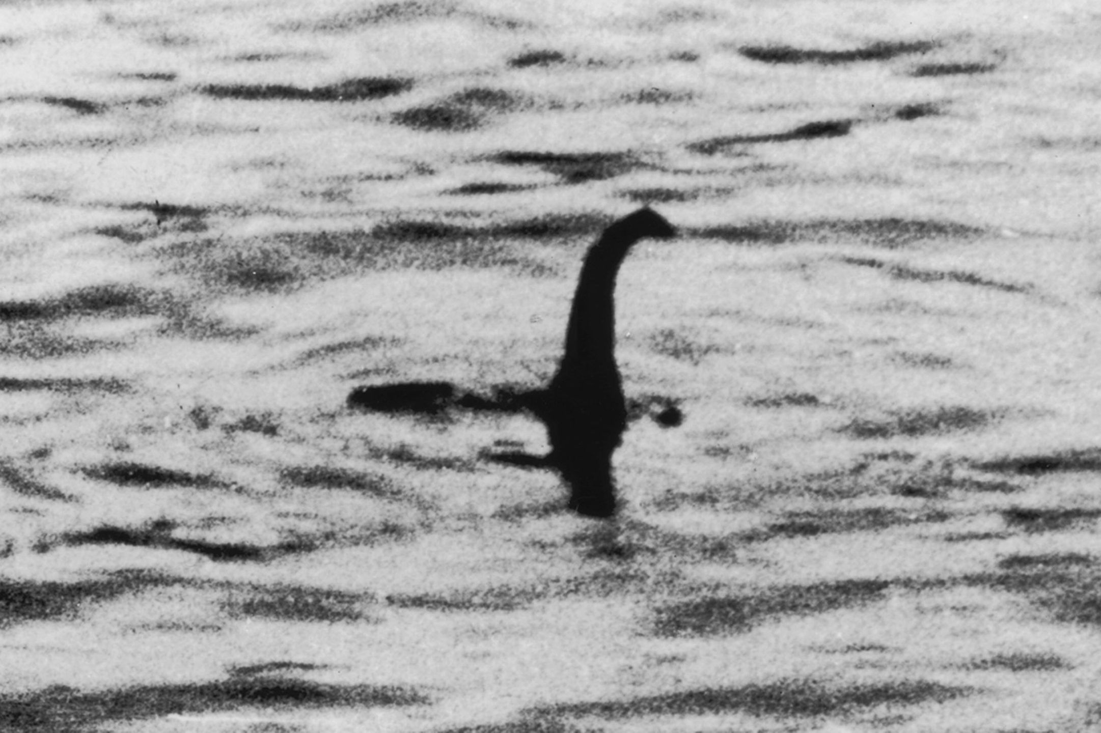 Zdjęcie chirurga, czyli prawdziwa historia potwora z Loch Ness 1