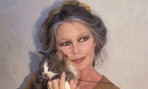 Do kogo trafi MAJĄTEK Brigitte Bardot? Przekazała go na AUKCJĘ