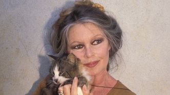 Do kogo trafi MAJĄTEK Brigitte Bardot? Przekazała go na AUKCJĘ