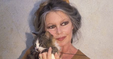Do kogo trafi MAJĄTEK Brigitte Bardot? Przekazała go na AUKCJĘ