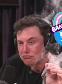 Twitter pozwala na deadnaming. Elon Musk popiera mowę nienawiści?