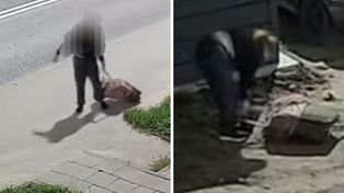 Ciało psa w walizce. Zaciągnęła je do śmietnika. Ustalili, kim jest