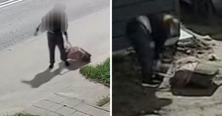 Ciało psa w walizce. Zaciągnęła je do śmietnika. Ustalili, kim jest