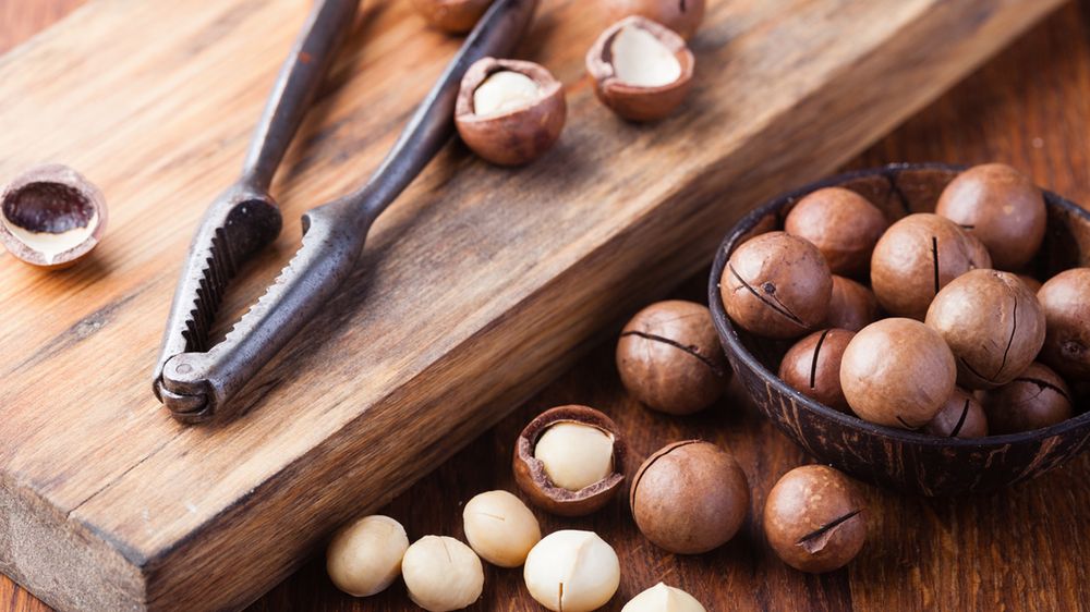 Makadamia – właściwości, wartości odżywcze, kalorie, zastosowanie