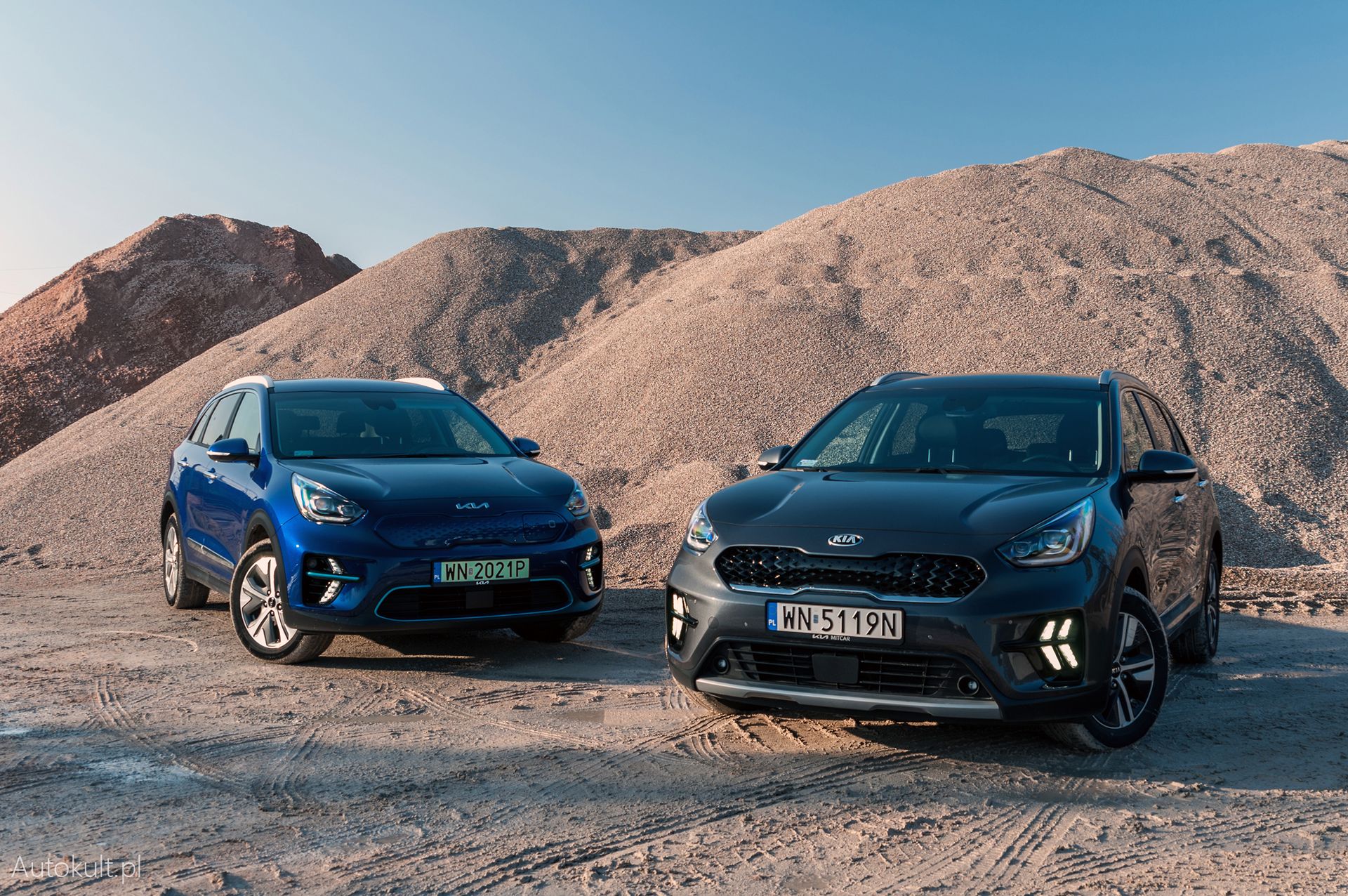 Kia e-Niro vs. Kia Niro PHEV (2021)