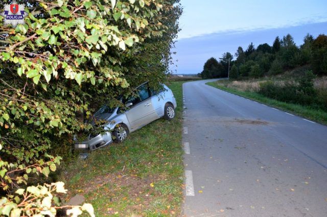 Trzy osoby wsiadły za kierownicę po alkoholu. Jedna z nich zakończyła podróż na drzewie (zdjęcia)