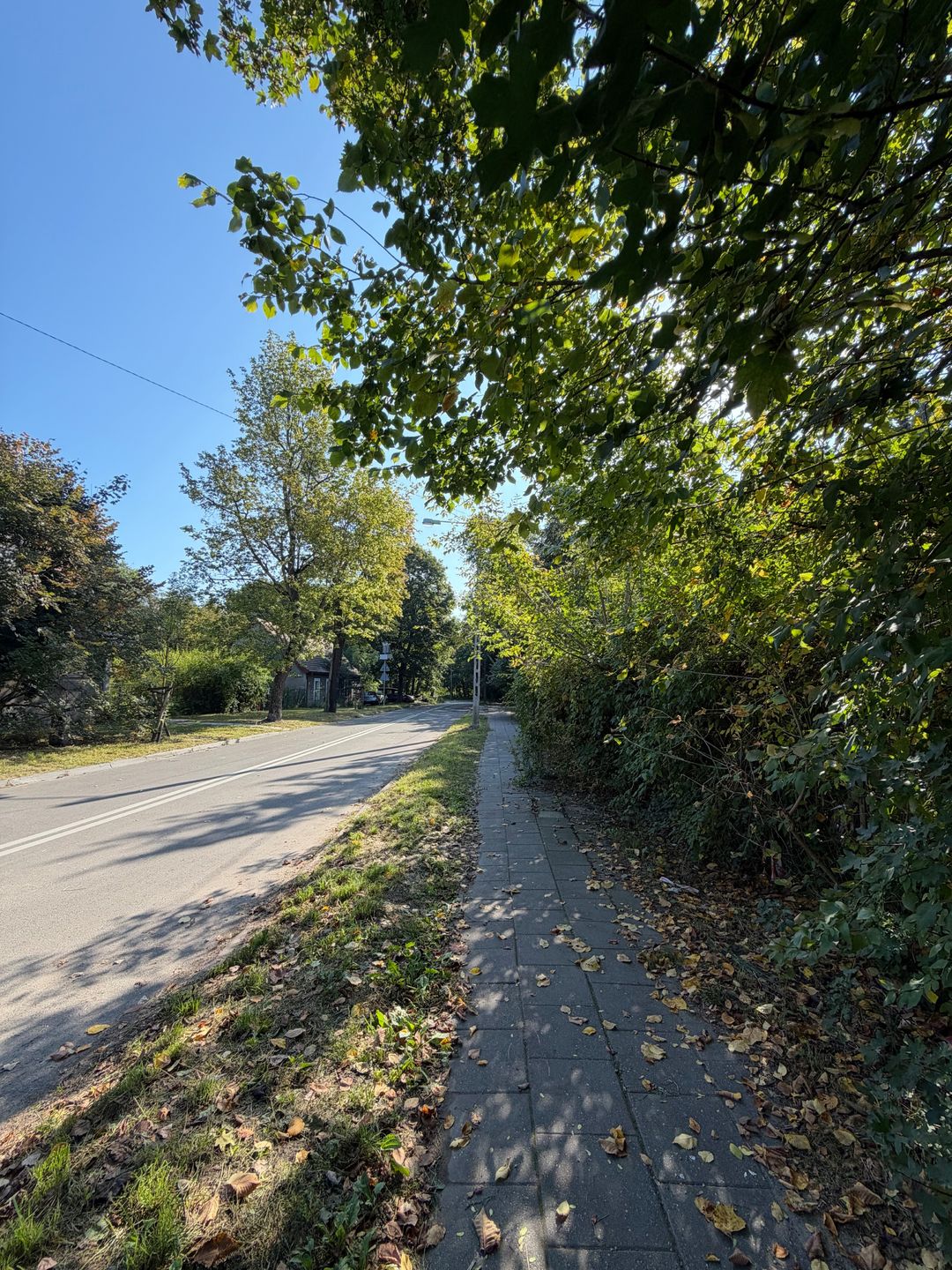 iPhone 18 Pro - zdjęcia