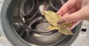 Żona często wrzuca do pralki 3 liście laurowe. Uporała się z okropnym problemem