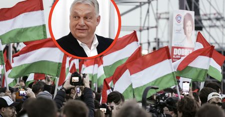 AfD komentuje przegraną Orbana. Jest reakcja