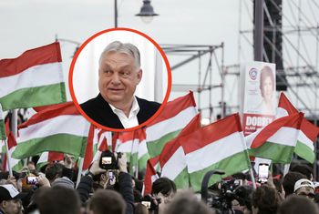 AfD komentuje przegraną Orbana. Jest reakcja