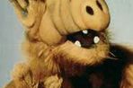 "Alf" w rękach twórców kinowych "Smerfów"