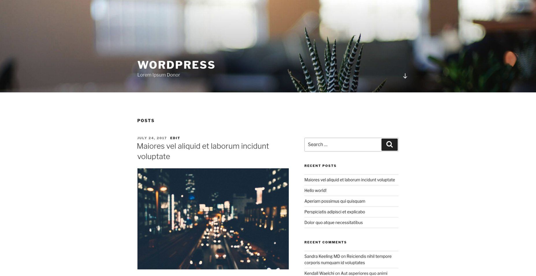 Wygenerowana witryna testowa na WordPressie