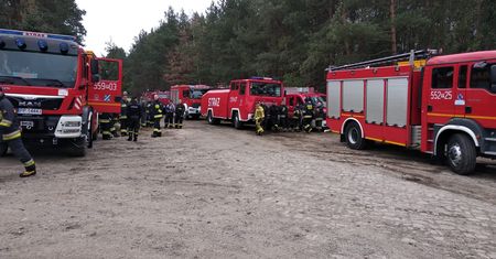 Ćwiczenia Las 2019