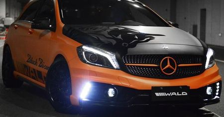 Wald International Mercedes-Benz klasy A Black Bison (2014)