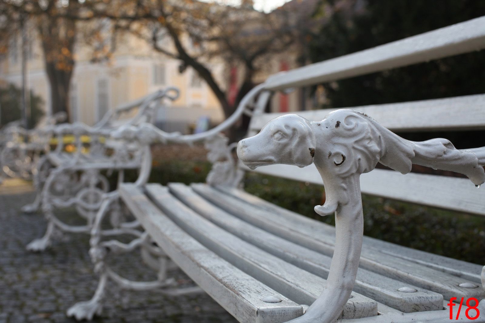 Dobrze wymierzony - Tamron SP 45 mm F/1.8 Di VC USD [test] 19