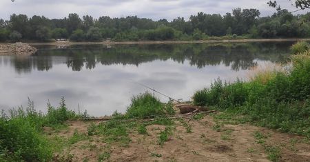 Zwłoki mężczyzny wyłowiono z Wisły k. Wólki Gołębskiej. To ujawniono przy rzece
