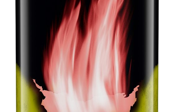 Na rynku jest już dostępny nowy wariant energetyka Burn