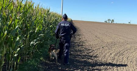 Nietypowe pułapki na polach. Policja ostrzega