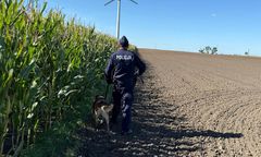 Nietypowe pułapki na polach. Policja ostrzega