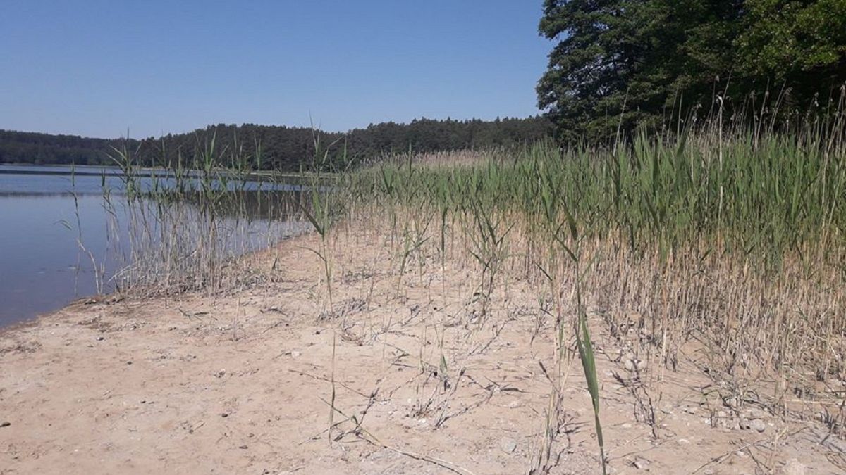 Poziom wody w jeziorze Głębokie gwałtownie się obniżył w wyniku remontu.  