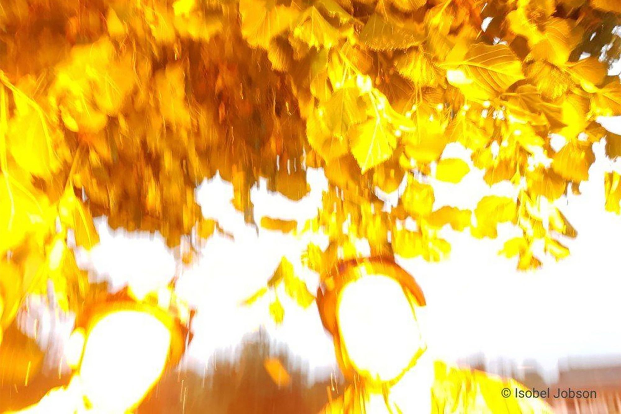 Zrobili selfie, gdy uderzył w nich piorun. To nie jest fotomontaż 1