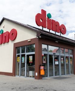 Rośnie napięcie w Dino. Jest zawiadomienie do prokuratury