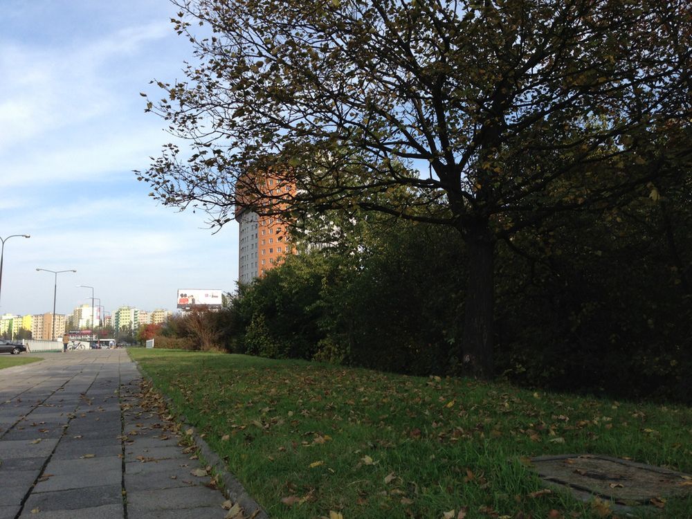 iPhone 5 - najlepszy iPhone, ale czy najlepszy smartfon? [test] 5