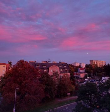 Czy Toruń może mi coś jeszcze dać? Felieton