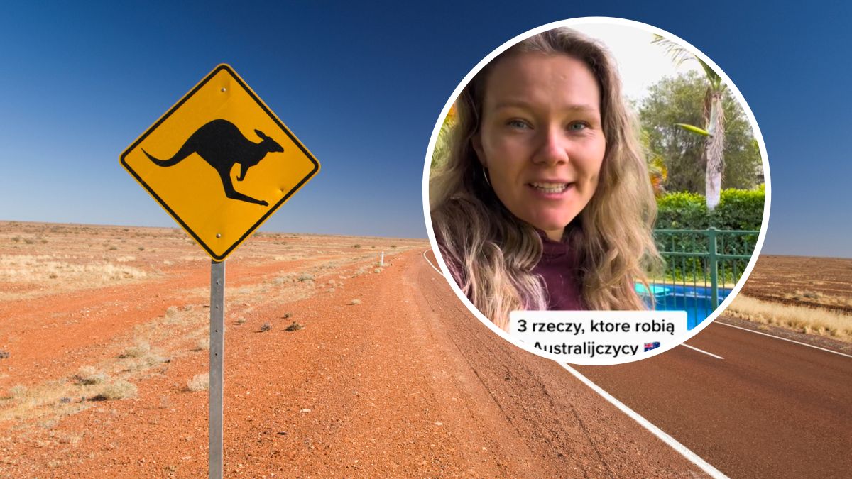 Znak drogowy z kangurem