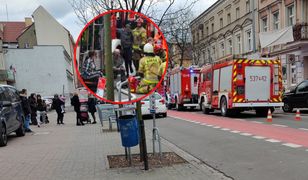 Wynosili dzieci jedno po drugim. Dramatyczna akcja strażaków