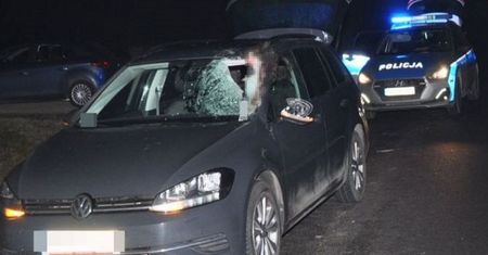 Rozpędzona sarna wpadła przez przednią szybę. Wylądowała w bagażniku