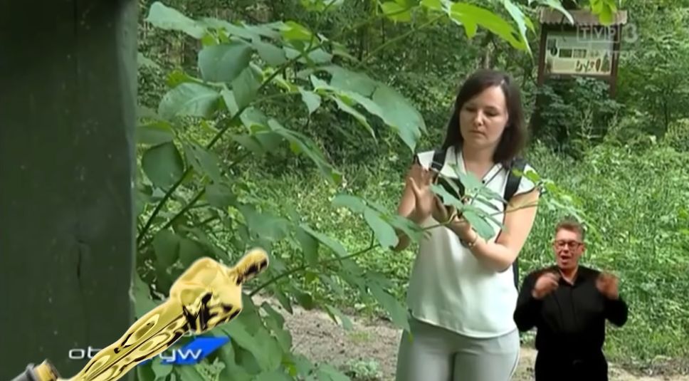 Wpadka TVP! Pracownica Lasów Państwowych zachwala serwis jako... "turystka"