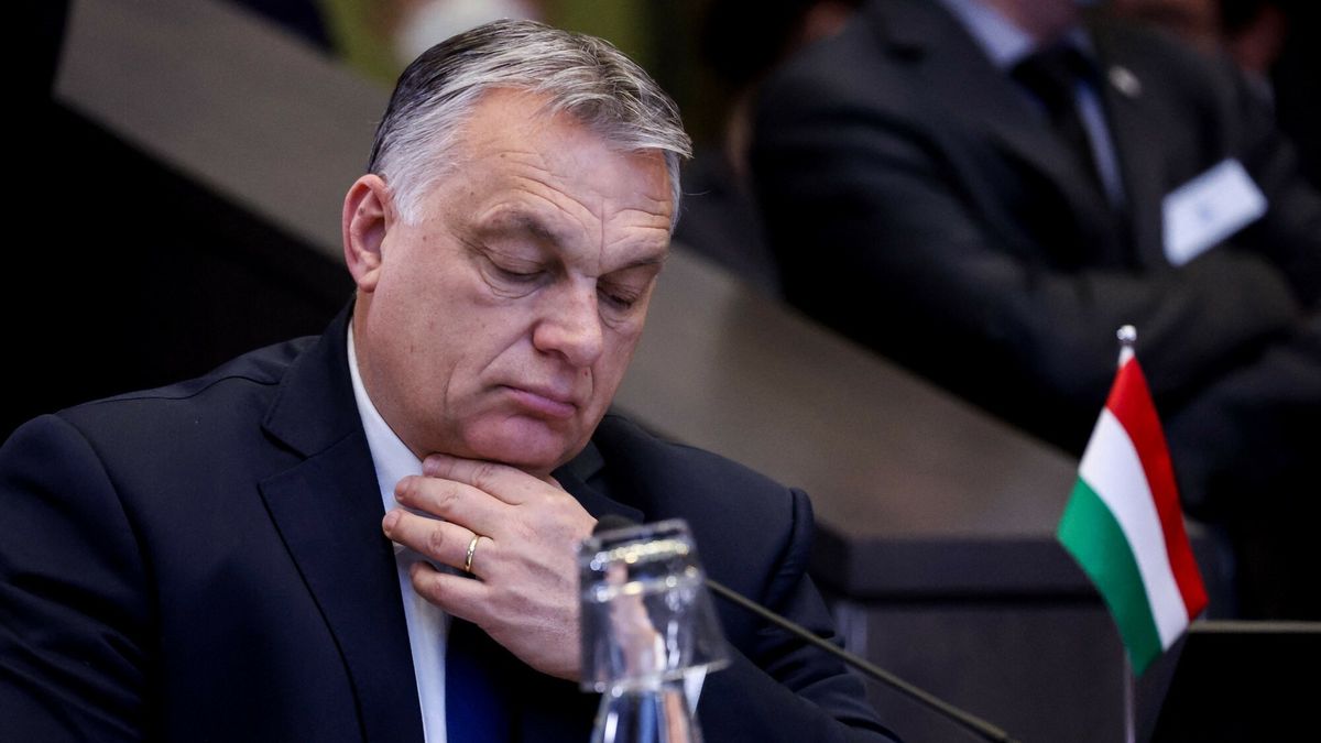 Viktor Orban, premier Węgier 