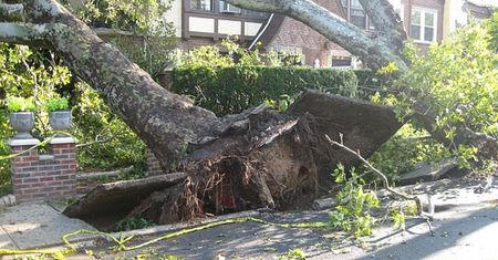 Tragedia w USA. Nie żyje 2-letnie dziecko, matka w stanie krytycznym