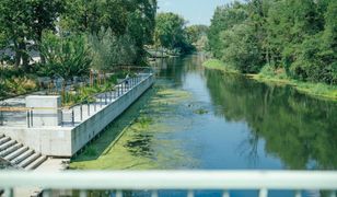 Wrocław. Zbliża się Dzień Trójkąta. Ruszyły zapisy na część wydarzeń