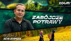 Zoom TV stawia na „Zabójcze potrawy”, kabarety i „Alfa”