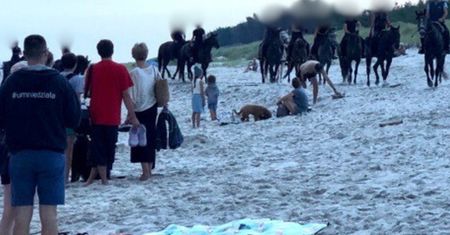 Groza nad Bałtykiem. Konie pędziły przez plażę. Ludzie byli przerażeni