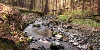 Korona Parków Krajobrazowych. Nowa odznaka turystyczna Dolnego Śląska