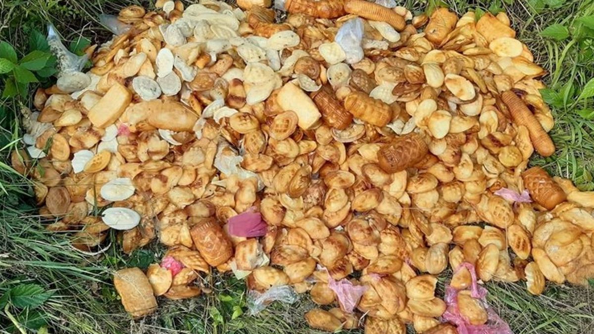 W lesie pod Orelcem na terenie Nadleśnictwa Ustrzyki Dolne leśnicy znaleźli kilkanaście kilogramów zepsutych serków typu "oscypek". 