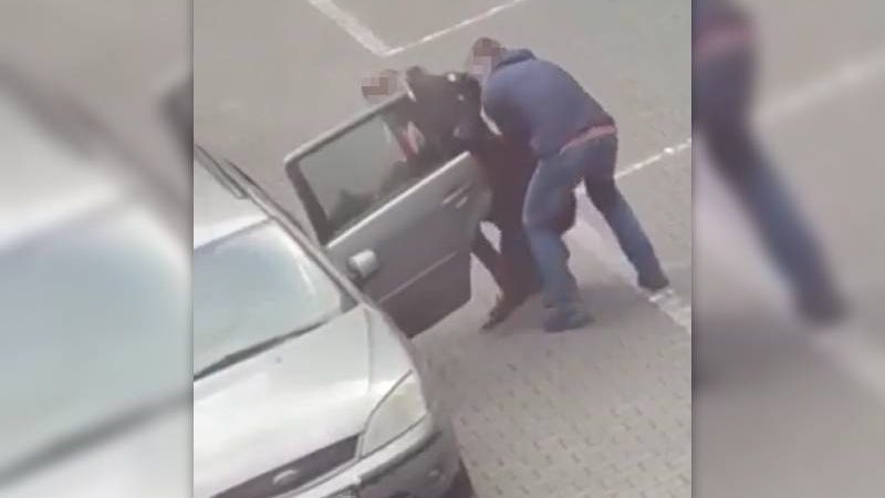 Kobieta z mężczyzną wepchali siłą alpakę na tylną kanapę auta