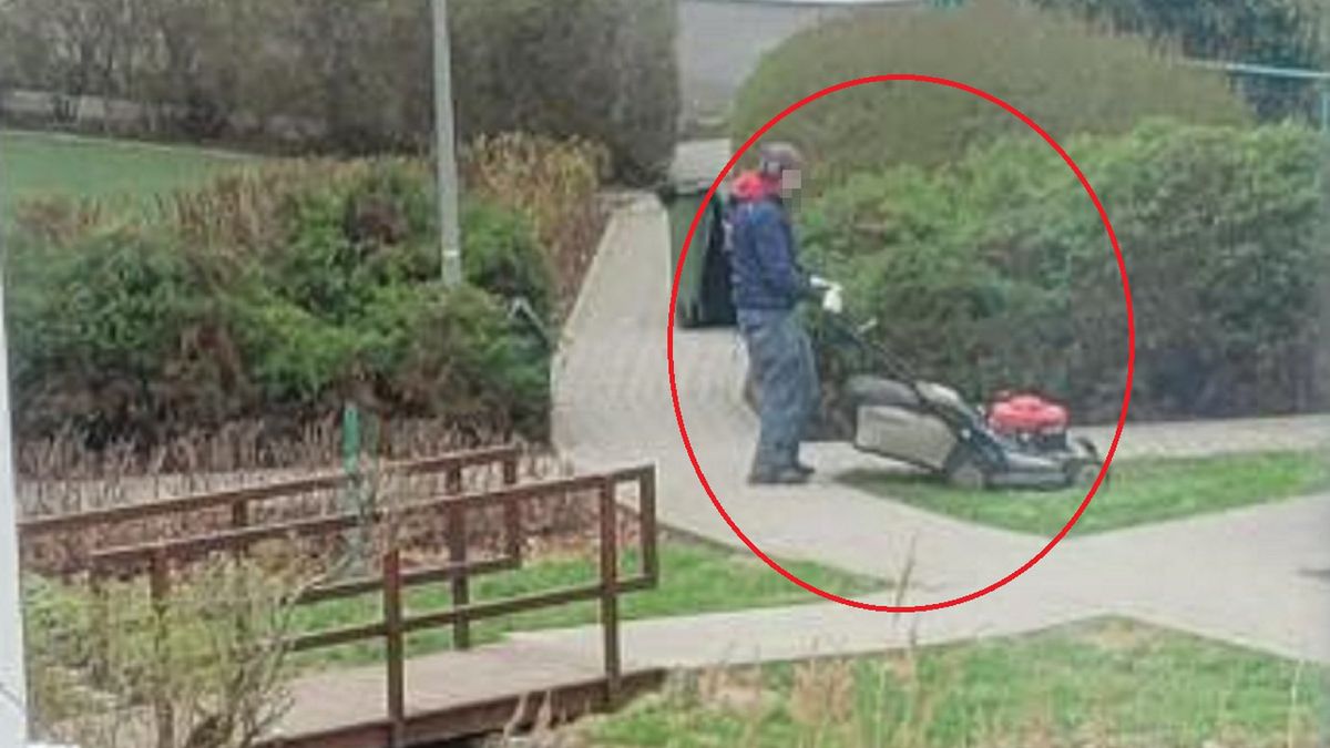 Zaczęło się koszenie traw w Warszawie.  Czy ma to sens?