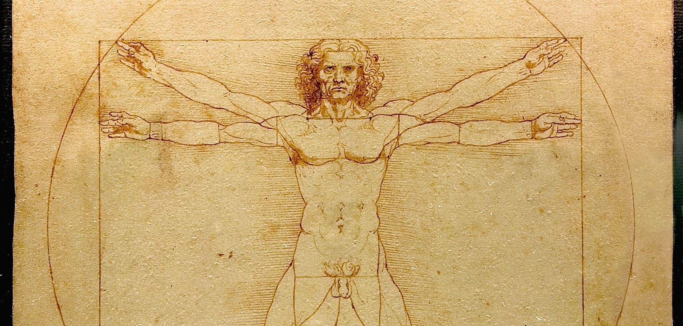 Nowe znalezisko na rysunku da Vinciego. Odkryto nieznany fakt